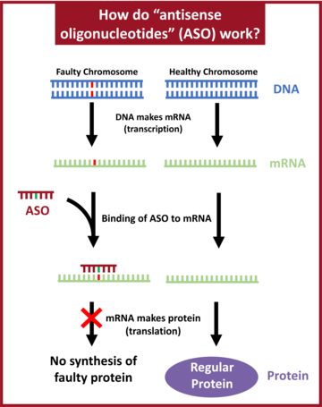 aso diagram for wood interview
