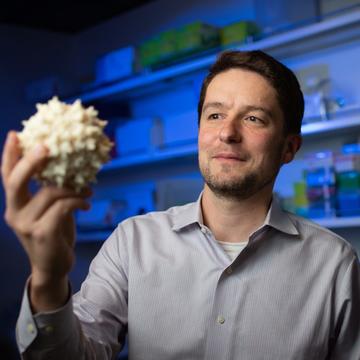 Man in white shirt holding up virus model